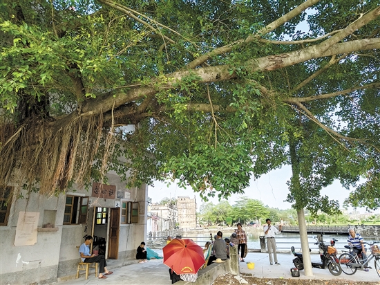 “倉(cāng)東計(jì)劃”不僅希望把遺產(chǎn)保護(hù)好，還希望傳統(tǒng)的生活方式、生活環(huán)境保留下來。