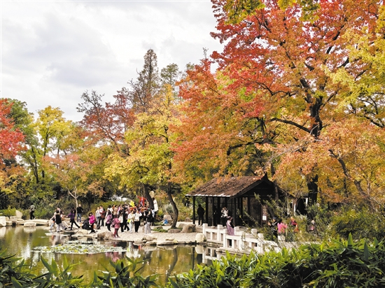 天平山秋色十分醉人。
