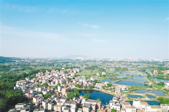 走進(jìn)雙橋村，連片的桑基魚塘映入眼簾，隨處可見粼粼波光。