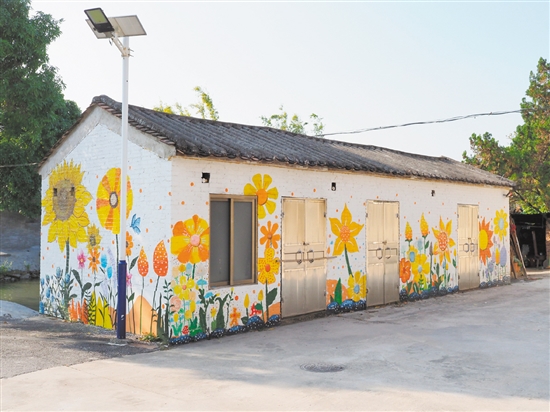 雙橋村發(fā)動(dòng)返鄉(xiāng)大學(xué)生設(shè)計(jì)獨(dú)具雙橋特色的墻繪。