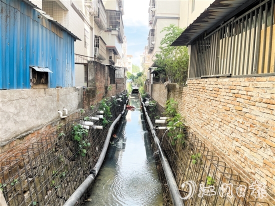 整改前的新昌明渠積存大量污水，長時間暴露后容易發(fā)黑發(fā)臭。