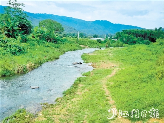 鶴城鎮(zhèn)萬和村河灘草地露營點(diǎn)。