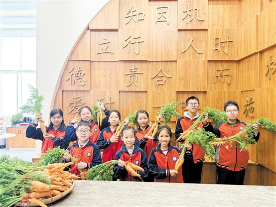 江海區(qū)景賢小學(xué)寒假志趣作業(yè)獲獎(jiǎng)學(xué)生收到了該校學(xué)生親手栽種的胡蘿卜。