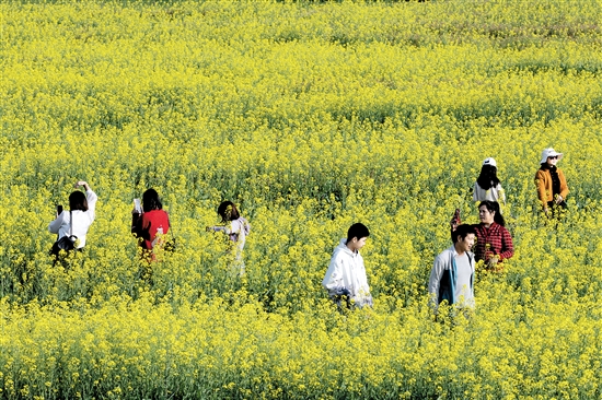 都市農(nóng)業(yè)生態(tài)園一年四季都游人如織。