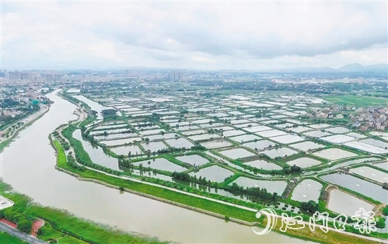 古勞鎮(zhèn)發(fā)動(dòng)魚塘養(yǎng)殖戶開展魚塘清淤，推動(dòng)魚塘養(yǎng)殖增產(chǎn)增收。