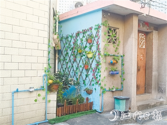 家門口的立體小花園為禾岡村注入生機與活力。