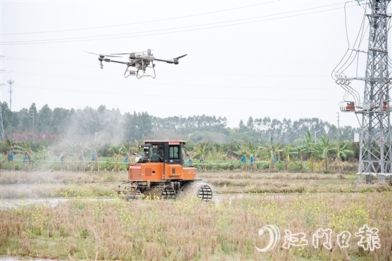 無人機(jī)、水旱耕作機(jī)協(xié)作開展春耕生產(chǎn)。