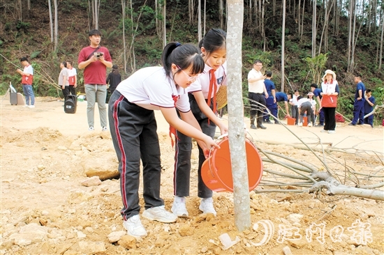 恩平華附學(xué)校的學(xué)生也參加了在泉林黃金小鎮(zhèn)舉行的植樹活動。