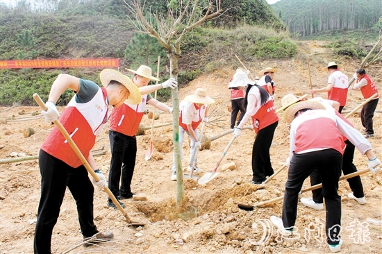 在植樹活動中，大家揮鍬培土，干勁十足，為恩平增添綠意，為全運會舉辦貢獻自己的力量。