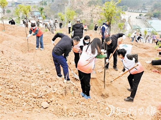 2025年蓬江區(qū)鄉(xiāng)村綠化主題植樹活動在五洞村舉行，黨員群眾攜手種下一棵棵樹苗。