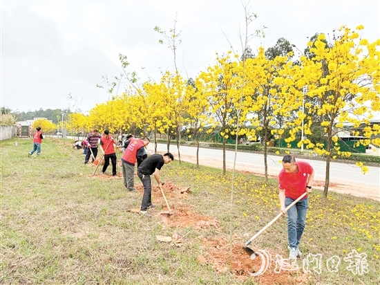 宅梧鎮(zhèn)組織開展植樹活動。