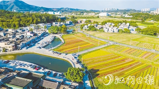 春賞格?；?、夏觀荷塘月、秋品稻花香、冬聞桂花釀的“全季旅游”模式，讓桂水村的知名度不斷攀升。