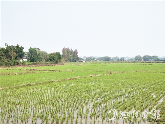 2024年，塘口新增耕地超49公頃，為鄉(xiāng)村振興注入了新動能。