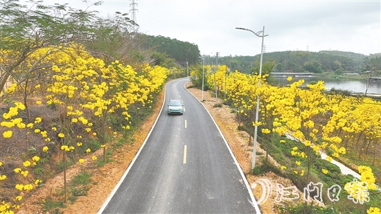 如今，縣道X552的面貌煥然一新，成為鄉(xiāng)村一道新風(fēng)景。