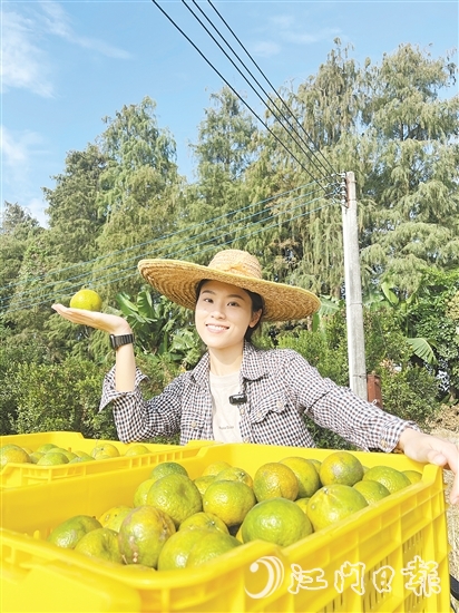 劉雪菲不斷探索新會柑種植、新會陳皮陳化倉儲的更多可能。