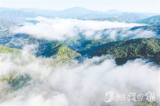 七星坑保護(hù)區(qū)的森林覆蓋率高達(dá)98%，負(fù)氧離子濃度年平均值達(dá)2192個/立方厘米，遠(yuǎn)超世界衛(wèi)生組織界定的清新空氣標(biāo)準(zhǔn)（≥1000個/立方厘米）。