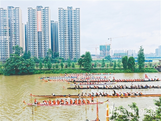 在長(zhǎng)沙街道杜澄片區(qū)的蒼江河畔，每逢端午時(shí)節(jié)，十余艘龍舟劈波斬浪，兩岸人聲鼎沸。