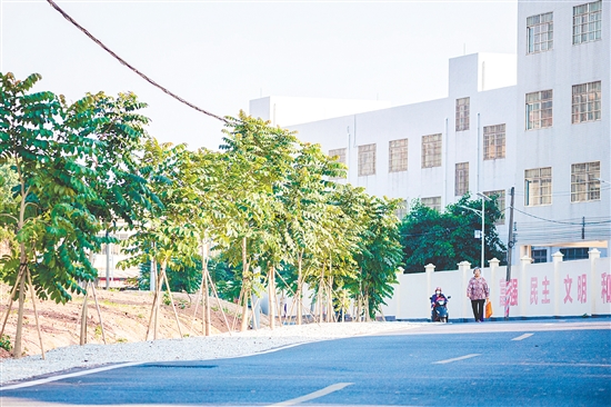 昆中村實施主干道環(huán)境提升項目。