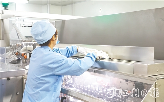 在生物醫(yī)藥產(chǎn)業(yè)領(lǐng)域，開(kāi)平市聚焦生產(chǎn)制造端，在珠江西岸率先構(gòu)建起“原料藥—化藥制劑—醫(yī)療器械—流通服務(wù)—終端需求”的垂直整合型產(chǎn)業(yè)生態(tài)。圖為廣東彼迪藥業(yè)有限公司生產(chǎn)車間。