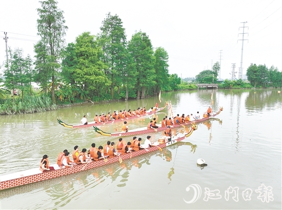 江海區(qū)組織新市民參加龍舟體驗(yàn)活動。
