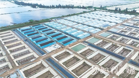 汶村鎮(zhèn)今年新引進(jìn)華辰水產(chǎn)，這是集研發(fā)、規(guī)?；B(yǎng)殖、生產(chǎn)于一體的現(xiàn)代化項(xiàng)目。