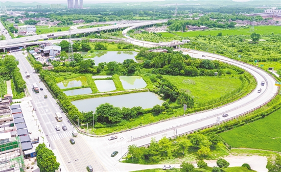 近年來(lái)，水步鎮(zhèn)先后投入約500萬(wàn)元用于周邊廊道建設(shè)。