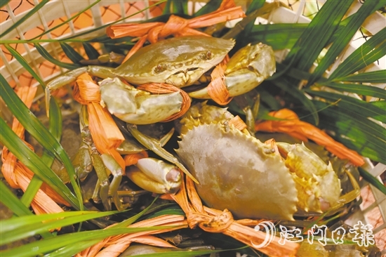 崖門水蟹肉少水多，最適合原只清蒸后用吸管“啜”著吃。