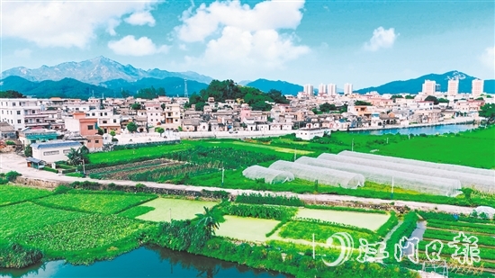 汶村鎮(zhèn)沙奇村通過(guò)深耕特色農(nóng)業(yè)、強(qiáng)化黨建引領(lǐng)、創(chuàng)新基層治理，實(shí)現(xiàn)從“臟亂差”到“綠富美”的華麗蝶變。