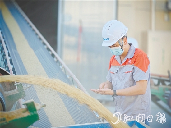 臺(tái)國(guó)糧集團(tuán)以“珍香”品牌優(yōu)質(zhì)大米為核心依托，構(gòu)建起涵蓋收購(gòu)、烘干、儲(chǔ)備、輪換，以及精深加工、品質(zhì)檢測(cè)、市場(chǎng)銷售的全鏈條產(chǎn)業(yè)化經(jīng)營(yíng)體系。