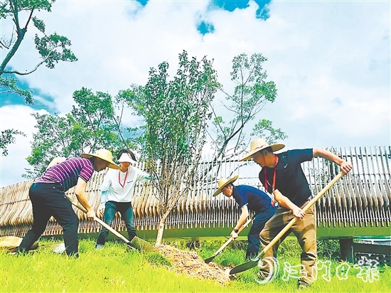 會(huì)城街道人大代表在小鳥天堂國家濕地公園種下40多株桃花樹苗。