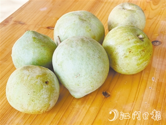 冰淇淋果果實(shí)成熟時(shí)可呈黃色或綠色，果肉為乳白色或米黃色，質(zhì)地綿軟順滑，果香濃郁。