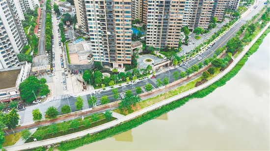 實施改造工程后，桂香路變?yōu)殡p向兩車道，并鋪上瀝青罩面，讓車輛通行更加順暢。