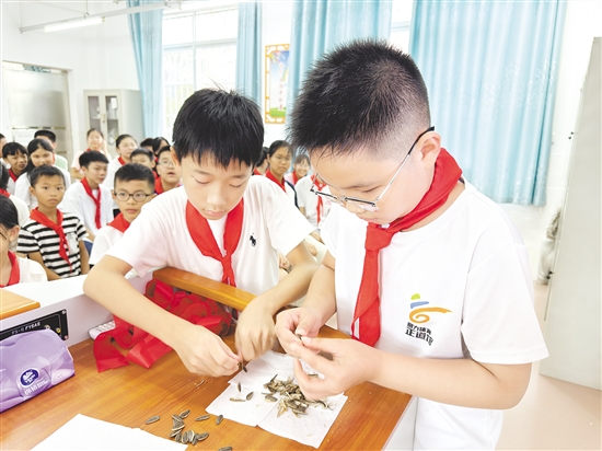 學生們兩兩配合，立即切換成“剝瓜子高手”模式。