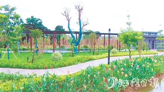 沙東村的村容村貌煥然一新。