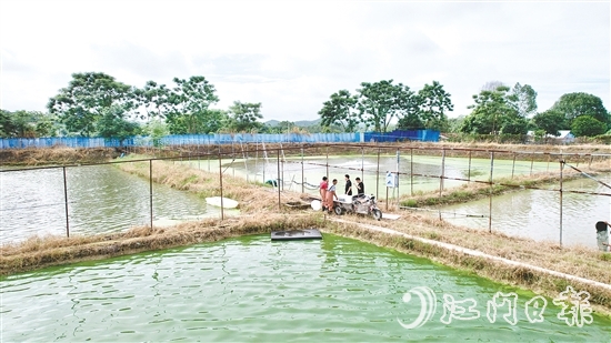養(yǎng)殖基地毗鄰鶴城鎮(zhèn)三堡河，水源充沛，水質(zhì)優(yōu)良。