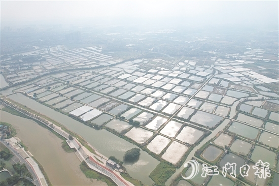 古勞鎮(zhèn)大埠村實(shí)行“股票田改革”，帶動村集體經(jīng)濟(jì)蓬勃發(fā)展，村民以田入股實(shí)現(xiàn)穩(wěn)定增收。