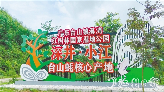 深井鎮(zhèn)小江村是國家地理標(biāo)志農(nóng)產(chǎn)品“臺(tái)山蠔”核心產(chǎn)區(qū)、蠔苗養(yǎng)殖主產(chǎn)區(qū)，也是廣東臺(tái)山鎮(zhèn)海灣紅樹林國家濕地公園東北入口。