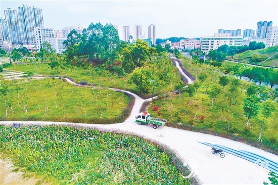 鶴山市聚焦城市交通重要點(diǎn)位，科學(xué)規(guī)劃，打造鶴山文化中心綠美鶴山示范點(diǎn)等，帶動(dòng)城鄉(xiāng)一體綠美提升。