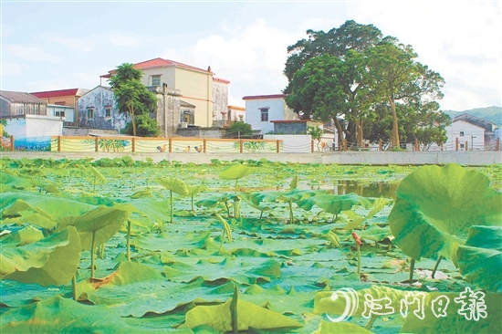 從產業(yè)協同到生態(tài)蝶變，從設施完善到文化繁榮，川島鎮(zhèn)甫草村甫草村以資源稟賦為基，展現新變化。