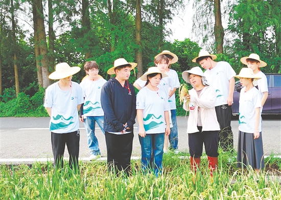 李蘇紅為隊(duì)員們介紹水稻生長(zhǎng)各個(gè)環(huán)節(jié)的特點(diǎn)與注意事項(xiàng)。