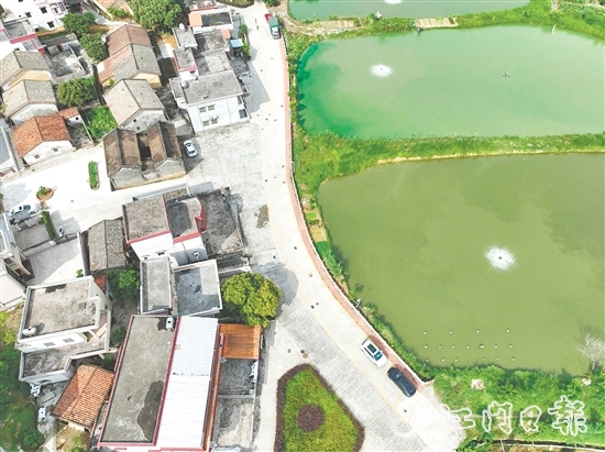 整治后的荔枝園村村道。