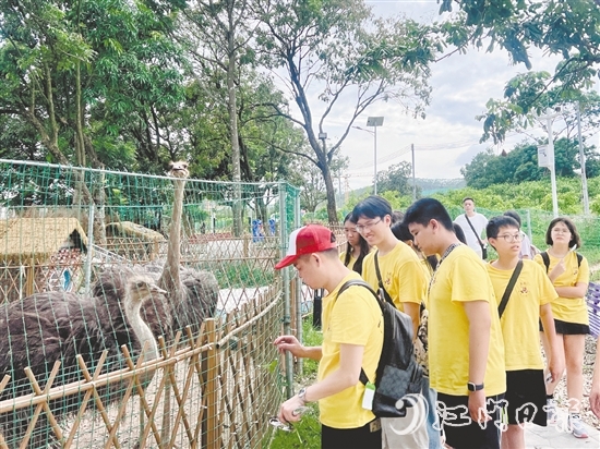 鳳鄉(xiāng)玉懷民宿打造的體驗項目，吸引不少青少年前來參觀。