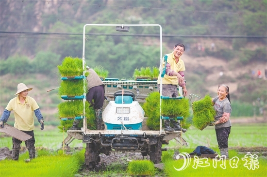 斗山鎮(zhèn)五福村以“產(chǎn)業(yè)融合+生態(tài)提質(zhì)+治理創(chuàng)新”的實踐路徑，將土地資源轉(zhuǎn)化為發(fā)展資本，讓傳統(tǒng)農(nóng)業(yè)迸發(fā)出現(xiàn)代活力。