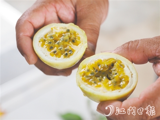 切開黃金百香果，酸甜的香氣撲面而來，十分誘人。