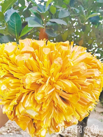 紅肉菠蘿蜜果實清香、口感脆甜且營養(yǎng)價值高。