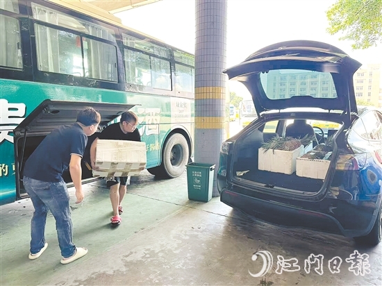 公交車司機(jī)及時將農(nóng)產(chǎn)品運(yùn)送至鶴山汽車總站，交由鶴山市供銷社工作人員分撥至合作商超與社區(qū)自提點(diǎn)等。
