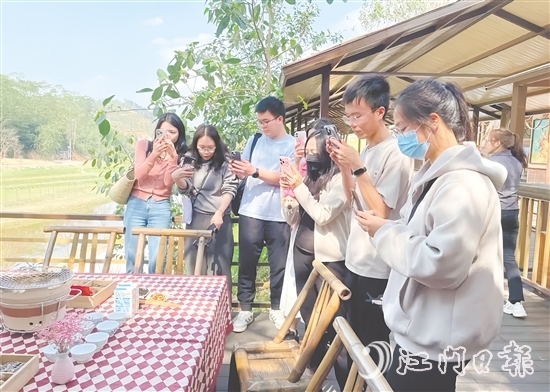 今年3月，開平市組織市重點自媒體走進大沙鎮(zhèn)開展花海茶田系列采風活動。