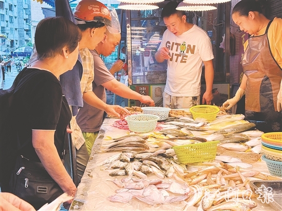 肥美的時令海鮮大量上市，價格較休漁期有所下降，吸引眾多游客、市民搶購嘗鮮。