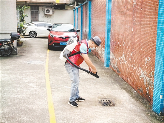 為保障新學期師生健康安全，鶴山市教育系統(tǒng)以防蚊滅蚊為重點集中開展校園愛國衛(wèi)生專項行動。