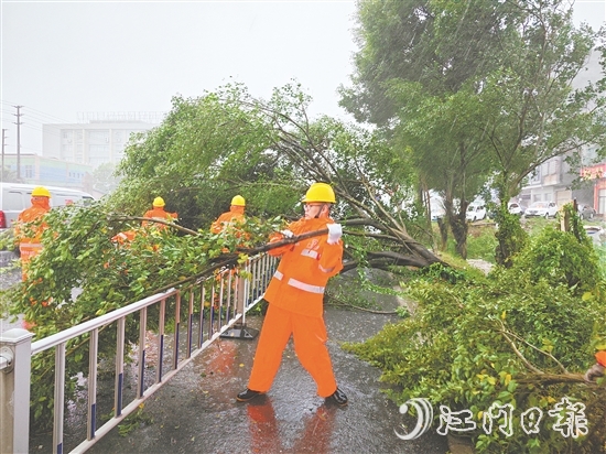 工作人員冒著風雨作業(yè)，清理倒伏樹木。